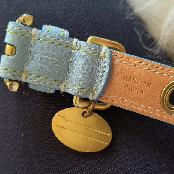 Coach Dog collar